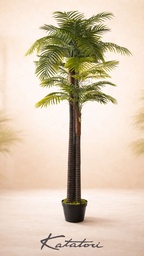 [JWS3851] Palmera Triana - 300 cm